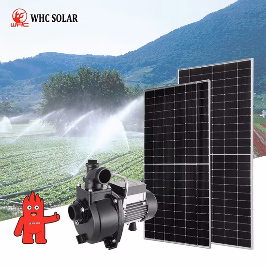 Pompa ad acqua sommergibile solare centrifuga ad alta pressione 24V 48V 72V 110V del sistema solare ad energia pulita per irrigazione agricola centrifuga DC